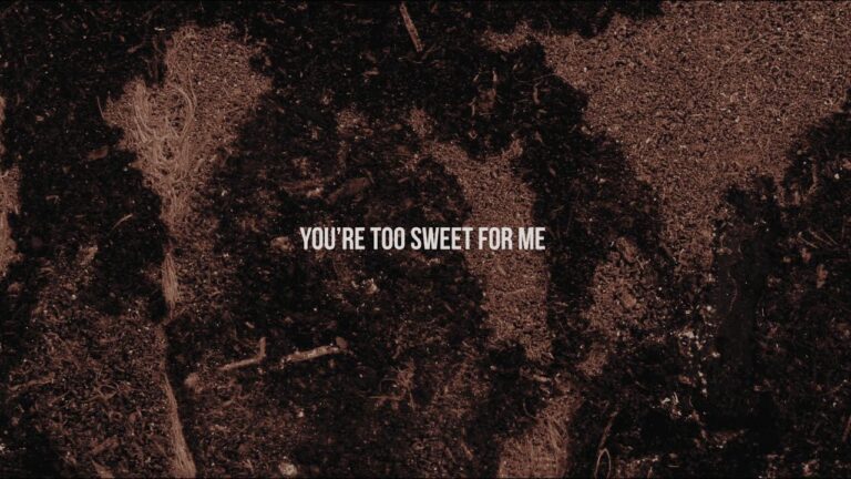 Exploring the Charms and Underlying Messages in ‘Too Sweet’ Lyrics